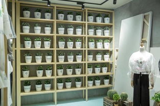 滬上文藝實(shí)驗(yàn)室揭牌 以文化經(jīng)紀(jì)人服務(wù)為引擎，開啟文創(chuàng)產(chǎn)業(yè)跨界探索新篇章